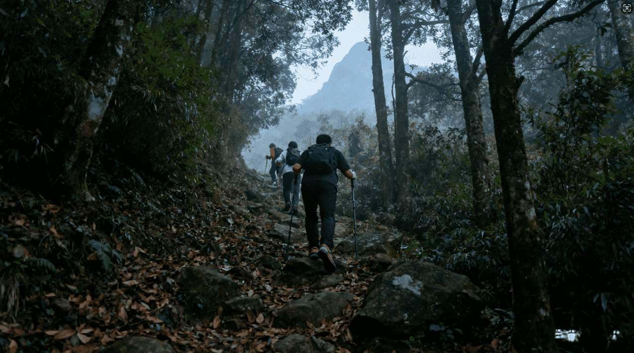 关于旋风加速器设定信任机制的详细指南与操作技巧